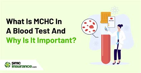 What Is Blood Test Mchc at Ronald Wray blog