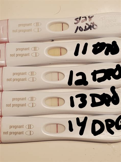 14DPO and tests not getting darker. | BabyCenter
