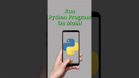 Image result for Python Run App