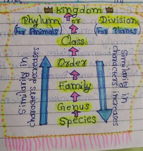 Make a flow chart showing taxonomic hiearchy - Brainly.in