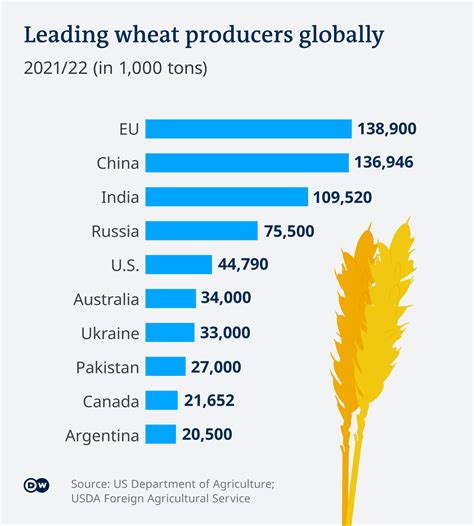 Wheat prices soars whether it will remain high? - MarketExpress