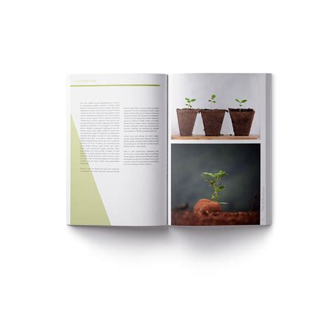 InDesign 的图像结果