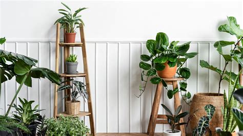 10 Best Artificial Indoor Plants Trends - Silk Trees and Plants