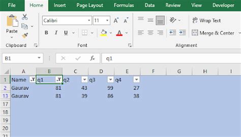 Image result for Excel VBA Multiple Filters