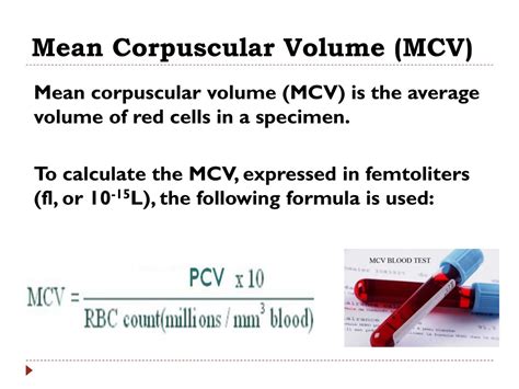 PPT - Blood Tests PowerPoint Presentation, free download - ID:8829182