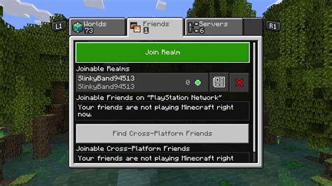 Image result for Donut SMP IP Java