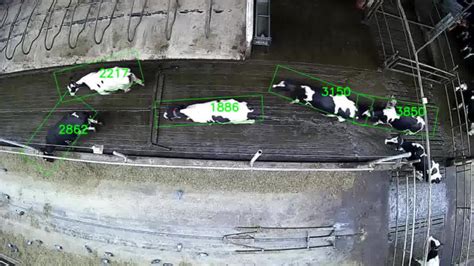 Image result for High-Tech Real Alchemist Machine