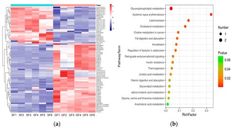 Lipidomics and Transcriptome Reveal the Effects of Feeding Systems on ...