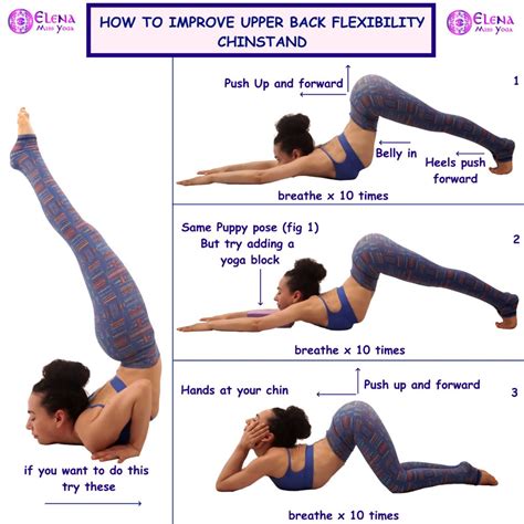 Back Flexibility Stretches