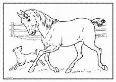ausmalbilder hund katze pferd ausmalbilder pferde ausmalbilder pferde kostenlos ausmalbilder hund katze pferd ausmalbilder pferde ausmalbilder pferde kostenlos