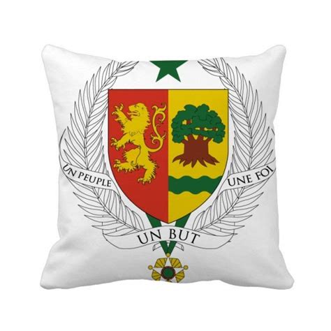 Buy Senegal Africa National Emblem Square Throw Pillow Insert Cushion ...