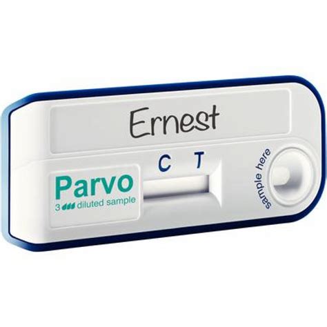 Can A Dog Test False Positive For Parvo