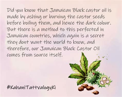 Tattvalogy Jamaican Black Castor Oil: Grow Thicker, Stronger Hair ...