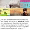 health effect of air pollution - Brainly.in