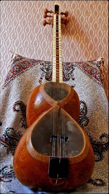Image result for Obscure Stringed Instruments