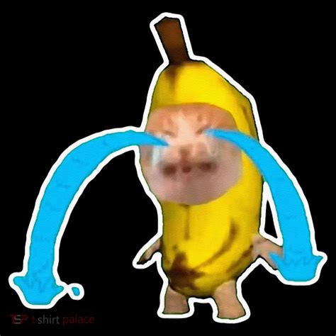 Crying Banana Cat Meme Button | TShirtPalace
