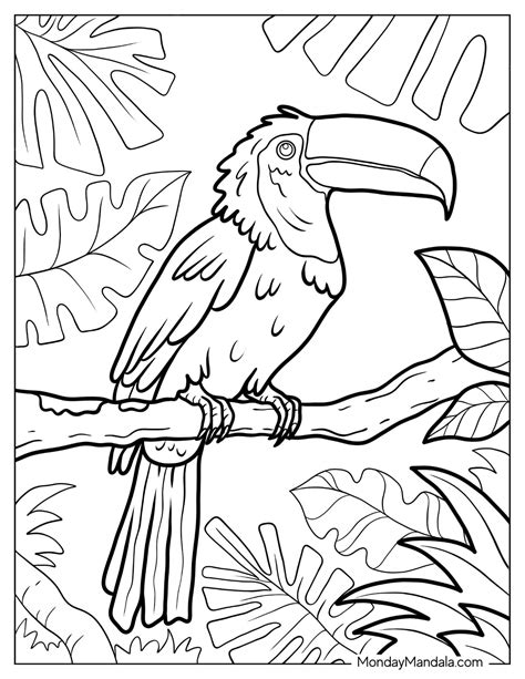 Amazon Rainforest Animals Coloring Pages [2025]