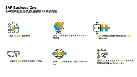 Project Management SAP B1 的图像结果
