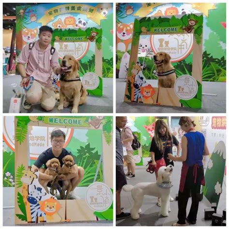 2018中国（南京）宠物文化节，专业观众预登记火热进行中！ - 中国宠物文化节