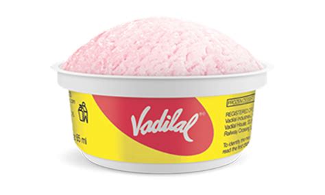 Vadilal House Vadilal Enterprises Ltd.