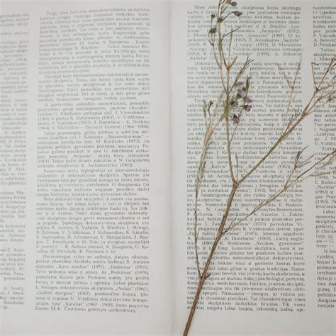 Hortatory Exposition Text - Ste Magazine