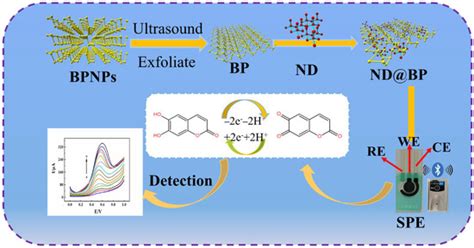 A Portable Wireless Intelligent Nanosensor for 6,7-Dihydroxycoumarin ...