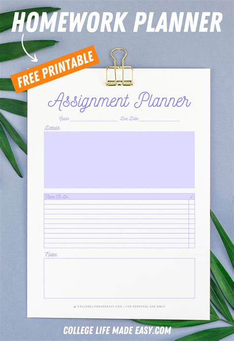 Image result for College Homework Assignment Template