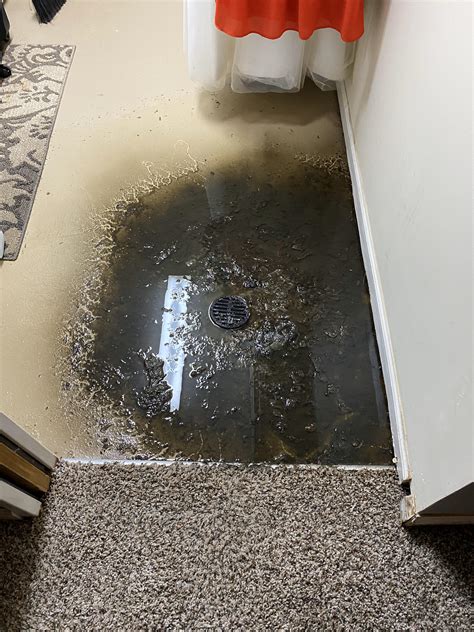 Toilet Backing Up Into Floor Drain at Troy Jenkins blog