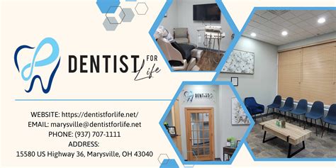 Dental Implants vs. Dentures Pros, Cons, and Cost Comparison - Dentist ...