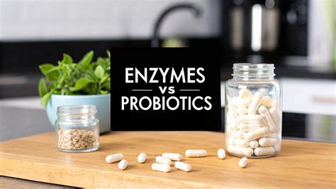 Digestive Enzymes vs. Probiotics: Which Helps Bloat and Sulfur Burps? – LadyPens
