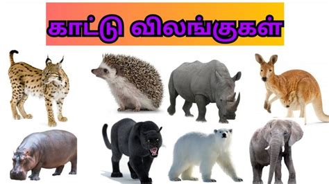 Image result for Public Main Java