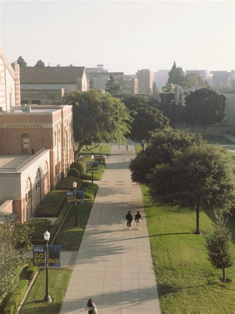 UCLA Dental School: Application Requirements, Acceptance Rates, and How ...