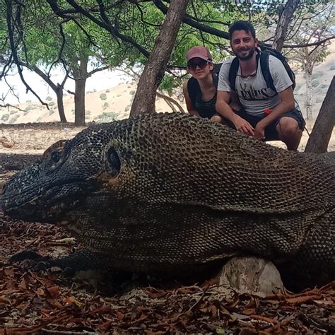 TOURLIST KOMODO - All You Need to Know BEFORE You Go 2026 (with Photos ...