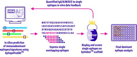 Image result for Epitope Mapping
