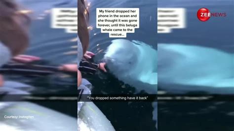 Watch Breaking News mobile of girl drowned in sea but an instant ...