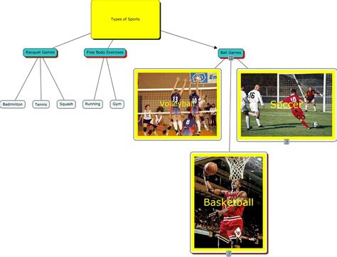 Types of Sports 的图像结果