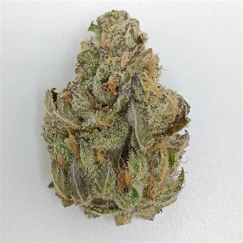 Houston, Texas High THCa Indoor Cannabis Flower (Farm Bill Compliant ...