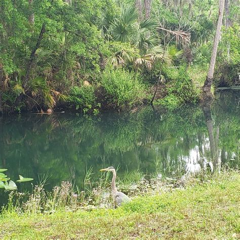 WEKIVA FALLS RV RESORT (Sorrento) - Campground Reviews & Photos ...