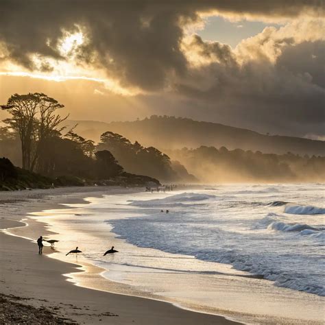 November In Carmel-by-the-Sea: Your Ultimate Coastal Escape Guide ...