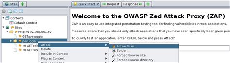 OWASP ZAP Scanner 的图像结果