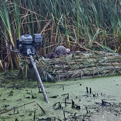 Image result for Harbor Freight Swamp Runner Mud Boat