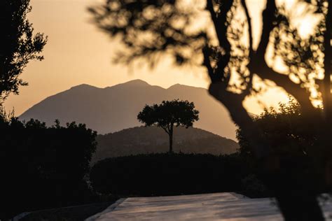 Discover Timeless Luxury with bluegr Hotels and Resorts