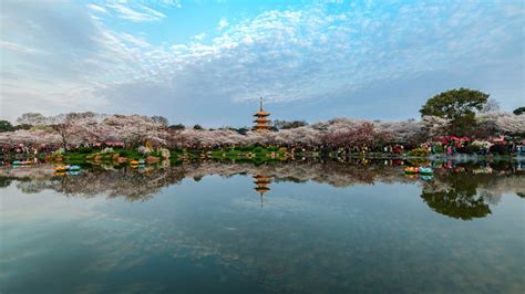 武汉东湖磨山景区旅游景点真实照片风景图片_配图网