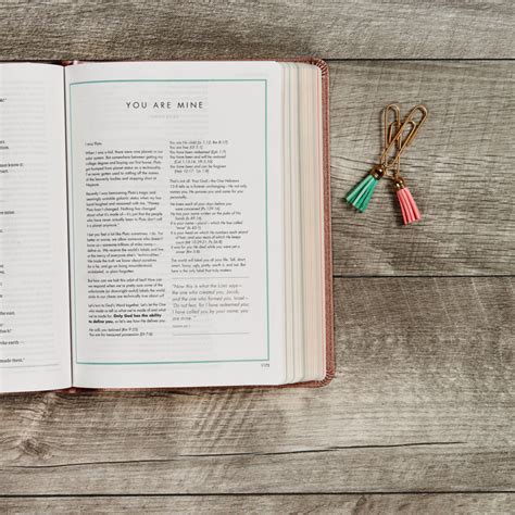 CSB She Reads Truth Bible - B&H Publishing