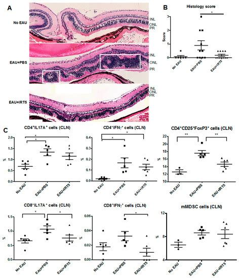 Clinical Effect of IRT-5 Probiotics on Immune Modulation of ...