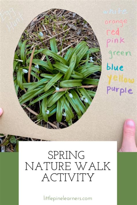 Image result for Spring Fun Walk