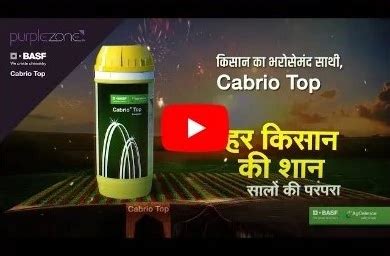 Creative Ad Agency | Advertising Agency | Purple Zone