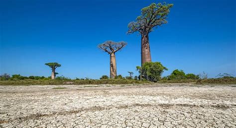 Climate change in photos: More floods, more droughts, more hurricanes