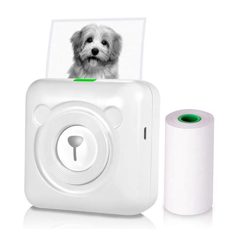 Buy Bisofice PeriPage Mini Printer, Portable Thermal Printer for Smart ...