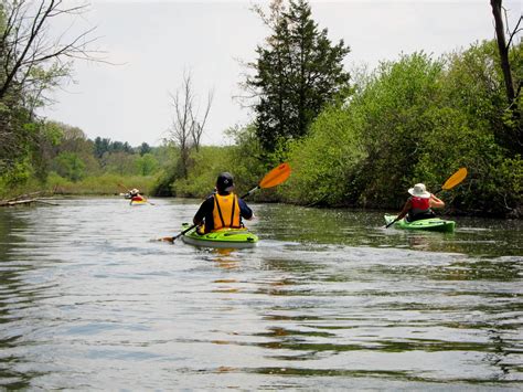Southeast Michigan Kayaking - Huron River Paddle